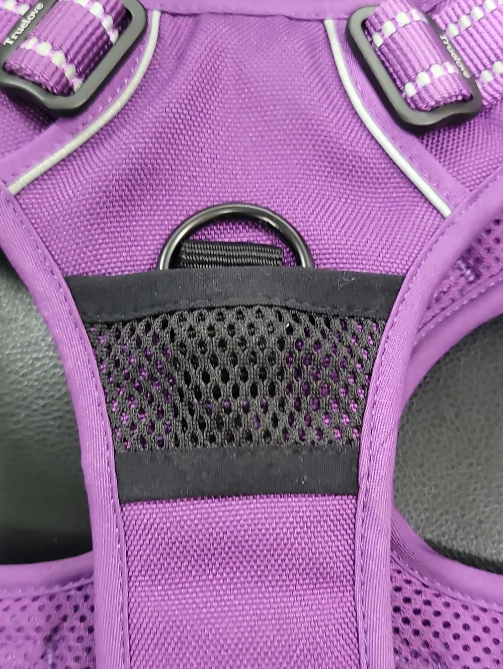 Purple Mesh Dog Harness for Kids Accessories